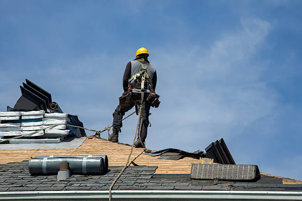 Professional Flat Roof Repair technician working in Lawton, IA